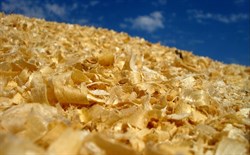 Опилки хвойные 000002