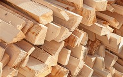 Дрова хвойные 000003